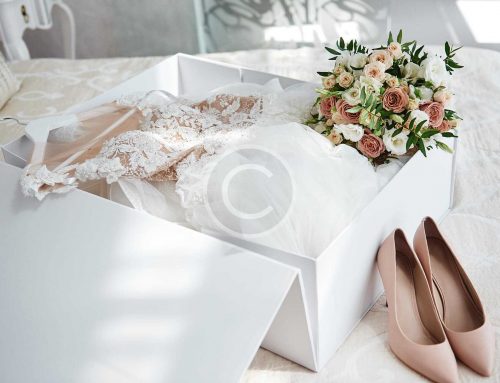 Bridal gowns with beautiful appliques details